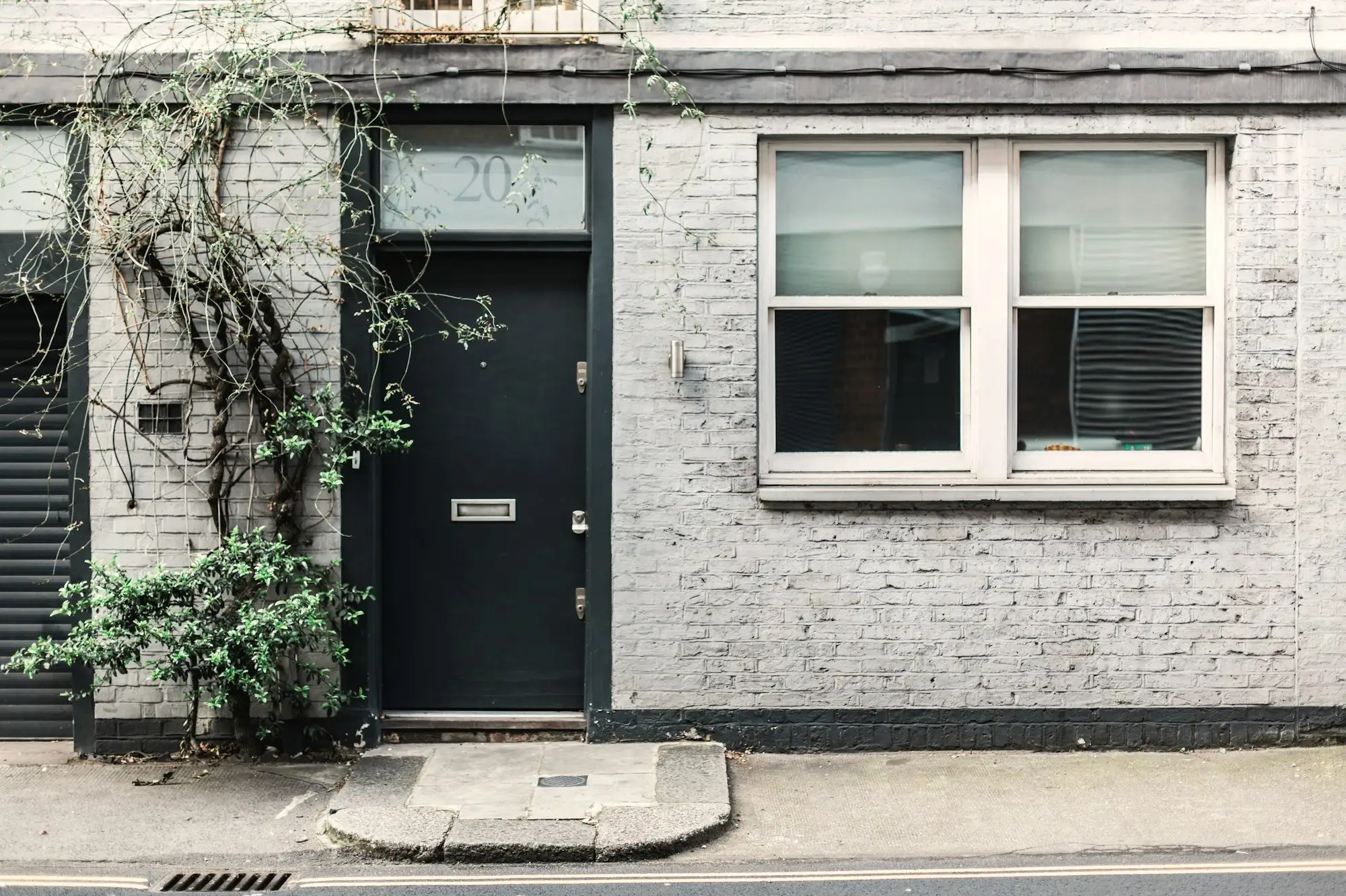 A black front door on a white-painted London mews house, framed by climbing plants