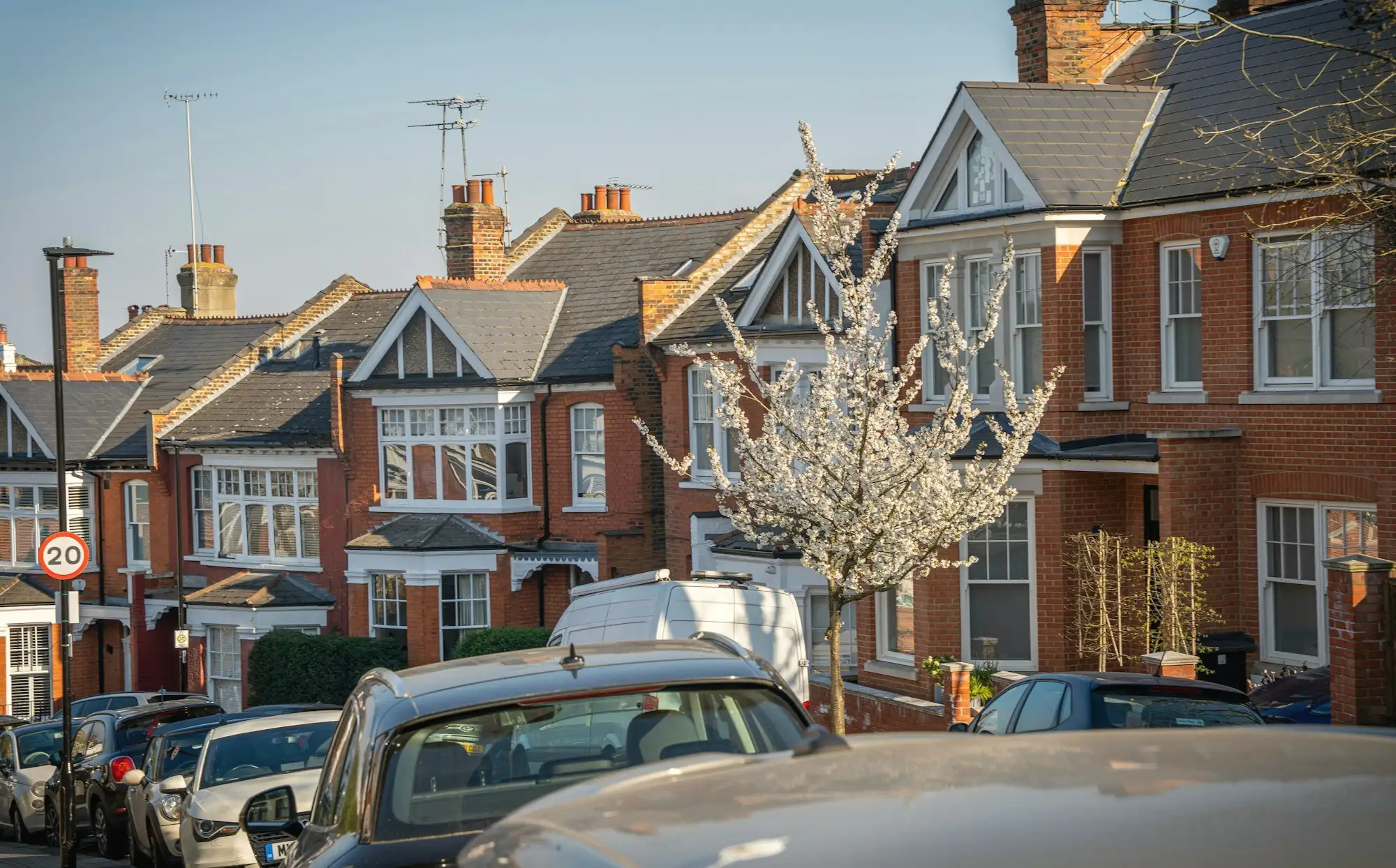 A row of red-brick Edwardian terraced houses on a London street, with a tree in blossom